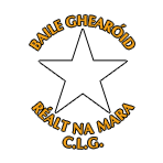 Ballygarrett GAA Wexford
