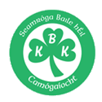 Ballyhale Shamrocks Camogie Club