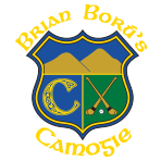 Brian Boru Camogie Club