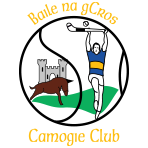 Castlepollard Camogie Club