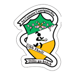 Offaly Camogie